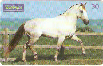 SP-0217 - Andaluz é Agilidade